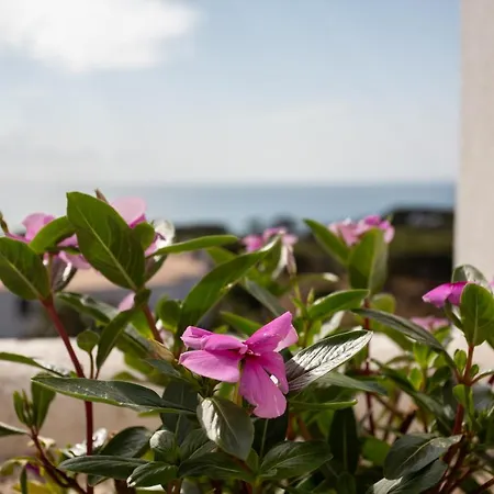 Coral By * Albufeira