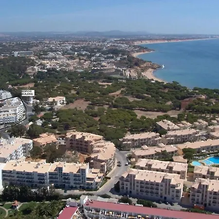 Coral By * 阿尔布费拉