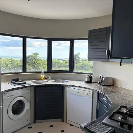 Coral By 阿尔布费拉